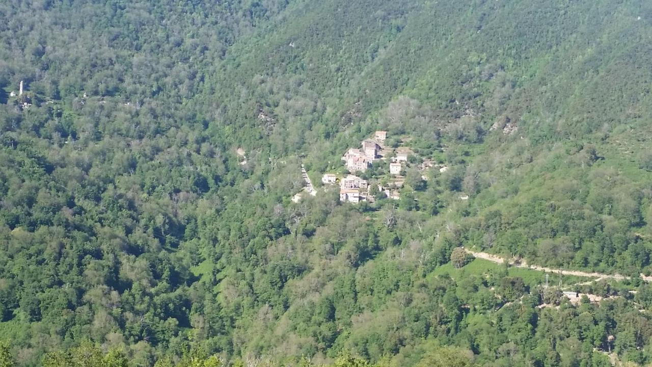 Вілла La Source 8 Ou 6 Couchages Valle d'Alesani Екстер'єр фото